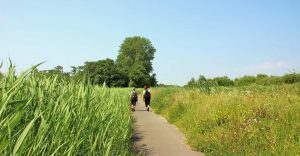 wandelen, fietsen en boothuren in Broek in Waterland